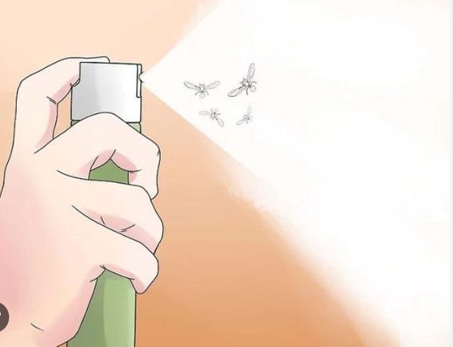 8 cách làm dung dịch phun diệt côn trùng hiệu quả và đơn giản tại nhà 